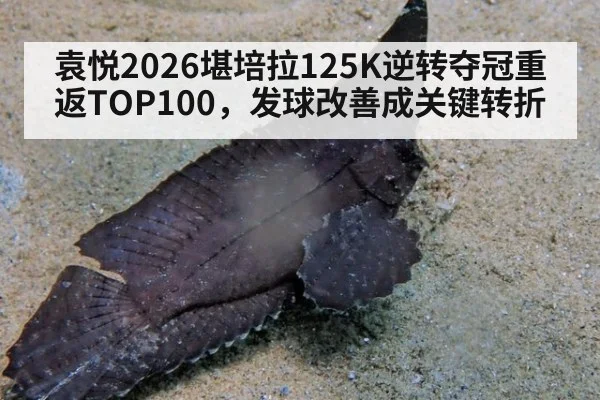 袁悦2026堪培拉125K逆转夺冠重返TOP100，发球改善成关键转折